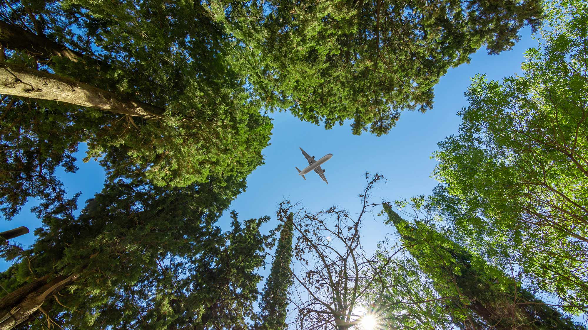 Sustainable aviation fuels