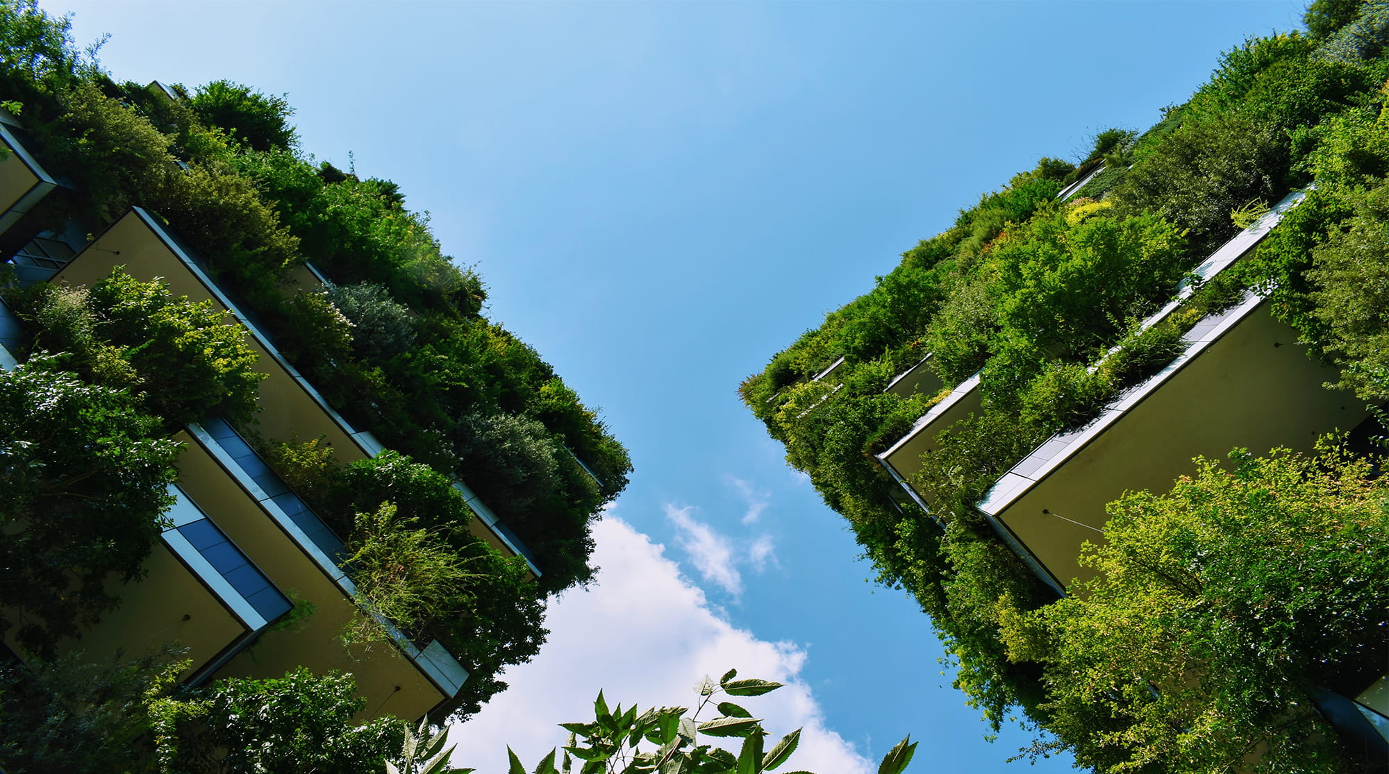 Green building design