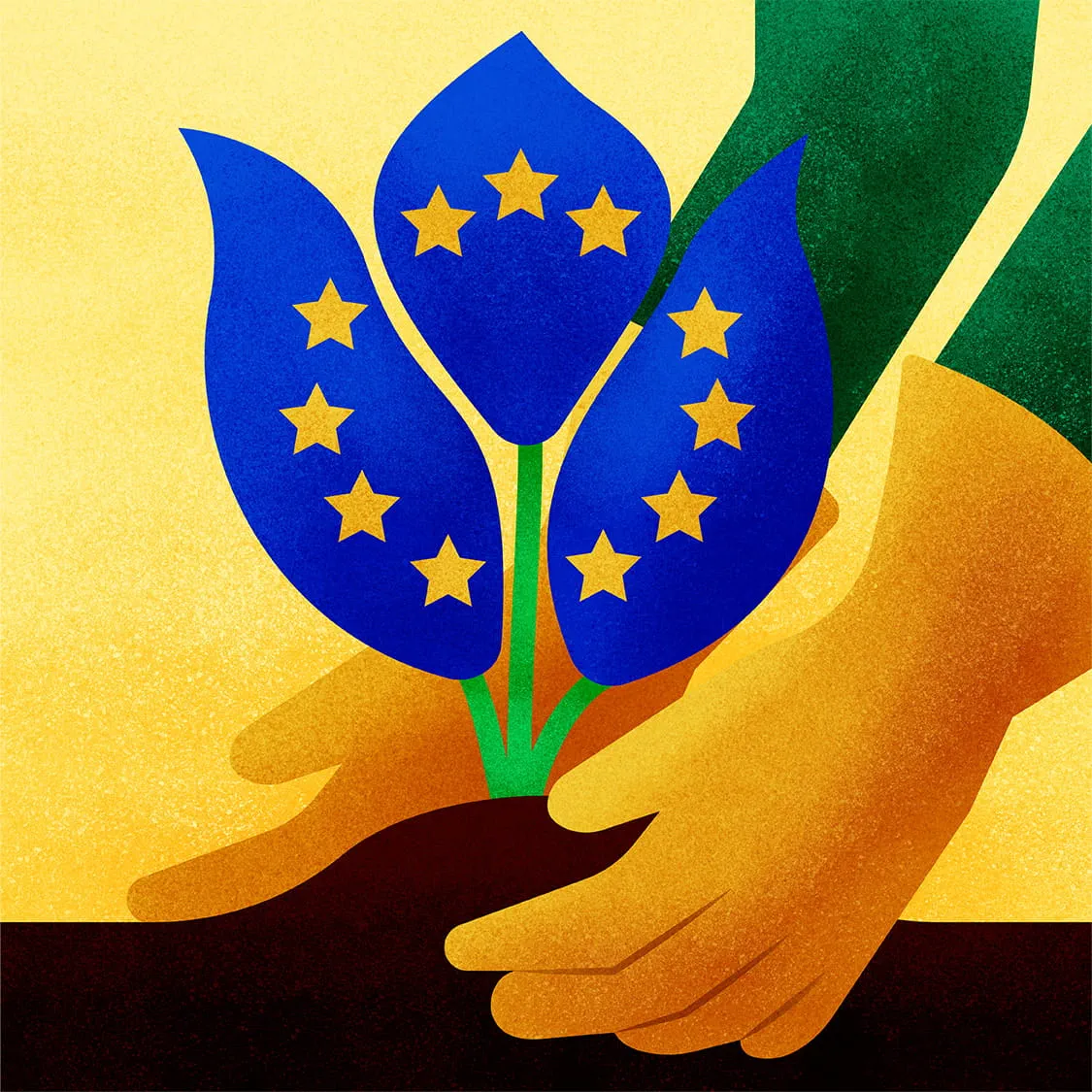 Europes restoration law