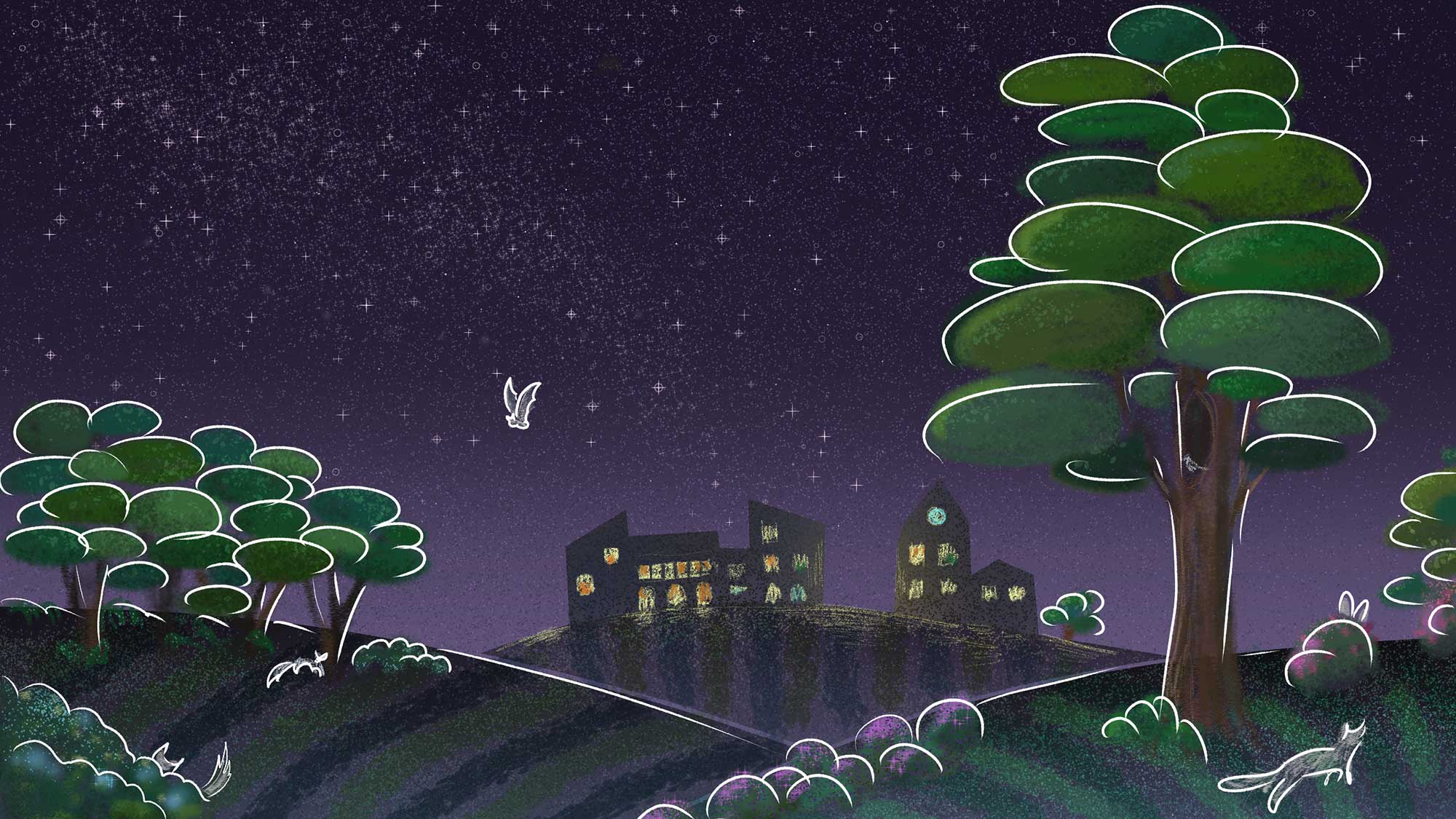 Animals at night time illustration