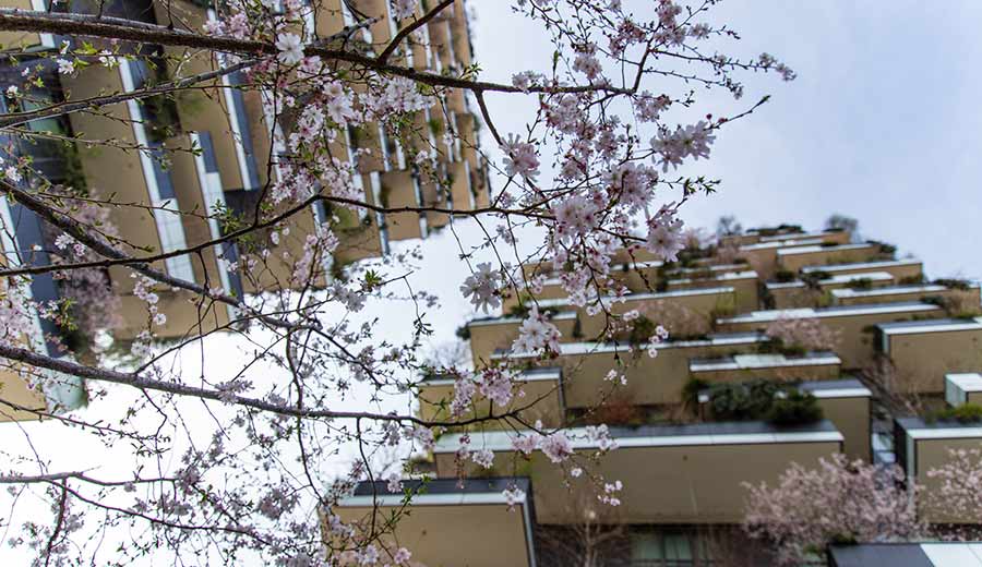 Bosco Verticale