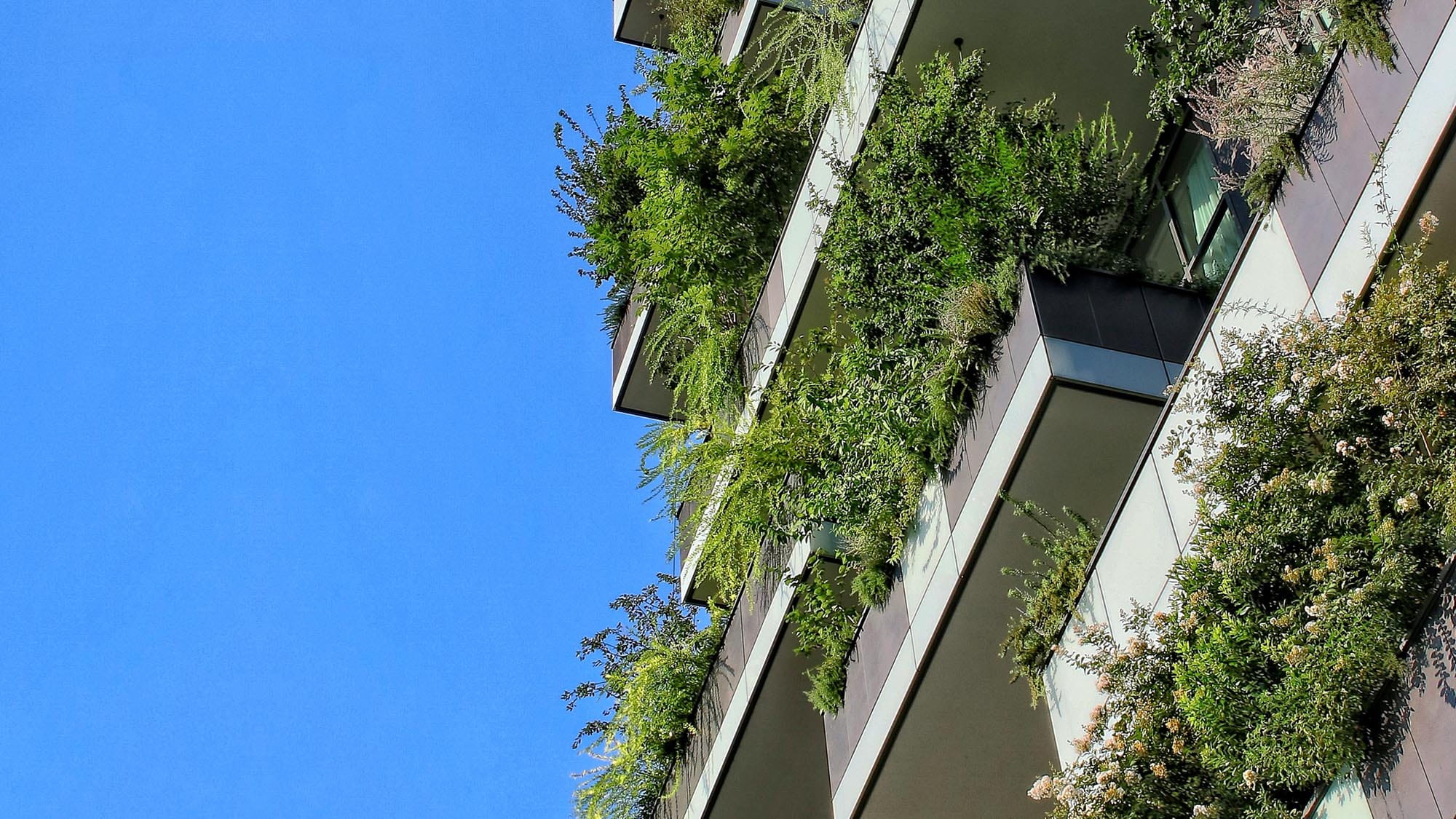 Urban cliffs for better city biodiversity