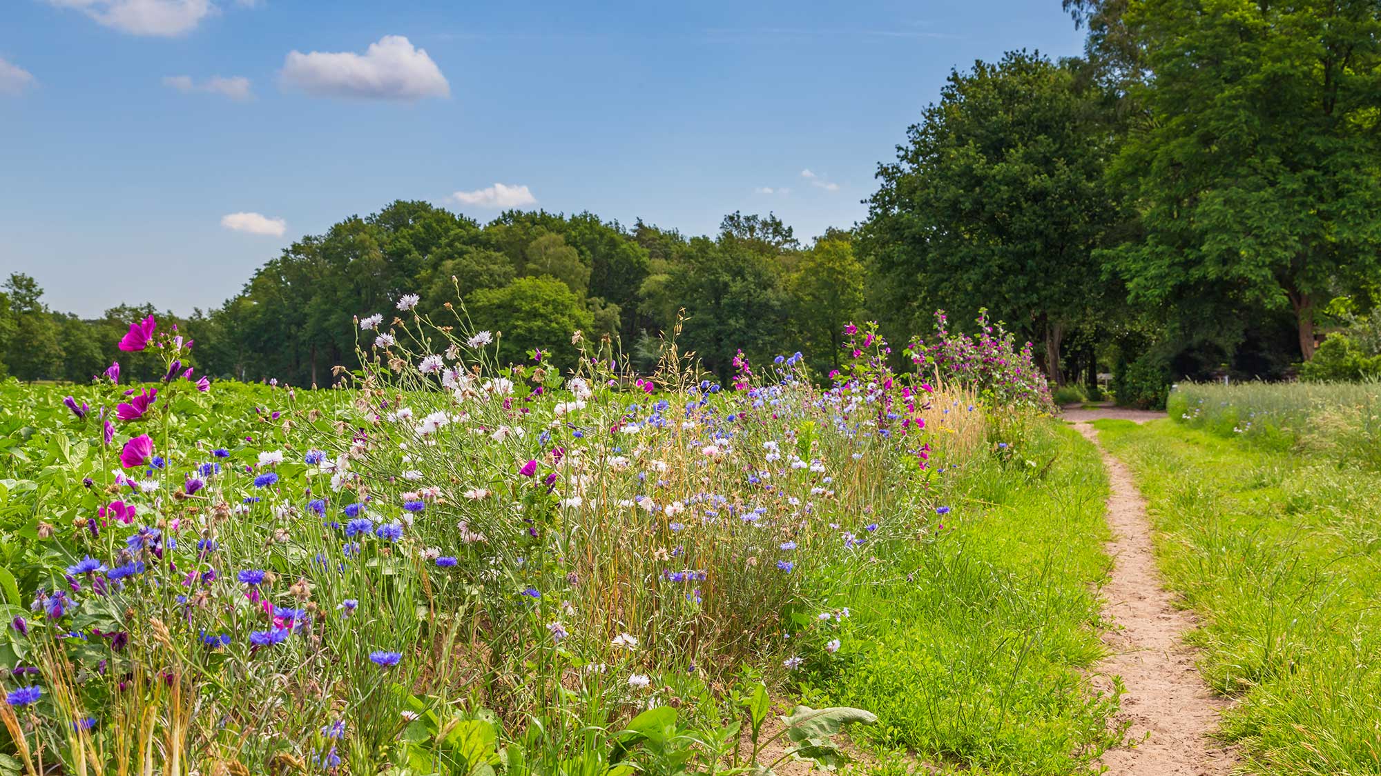 Support bio diversity