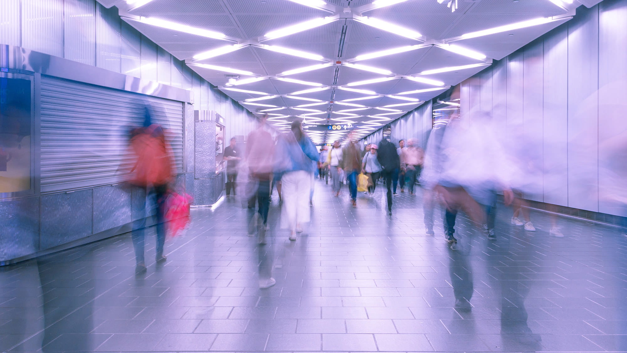 Pedestrian modelling