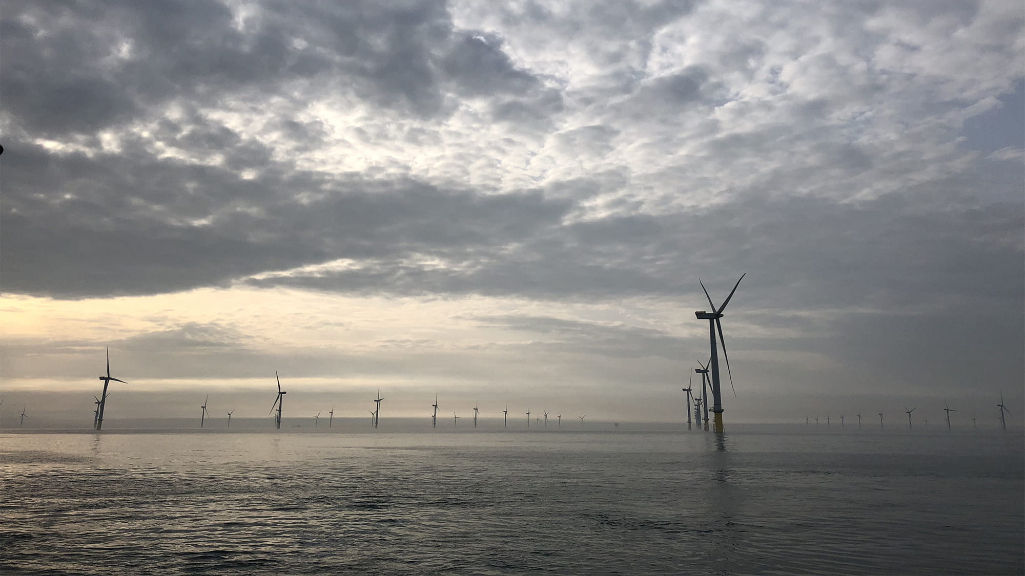 Offshore wind farm