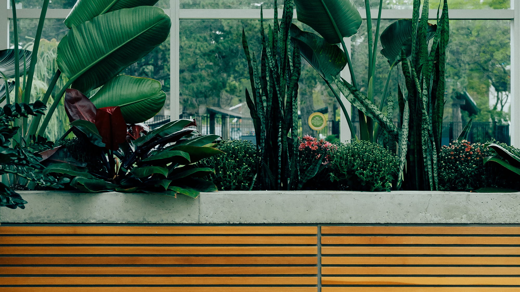 Botanical garden