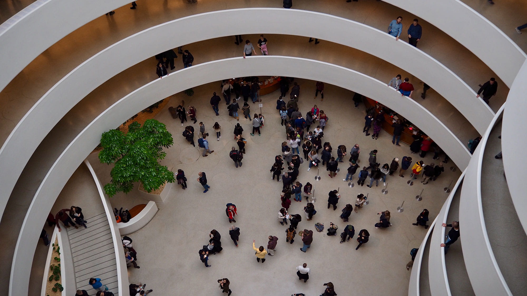 Guggenheim Museum in New York