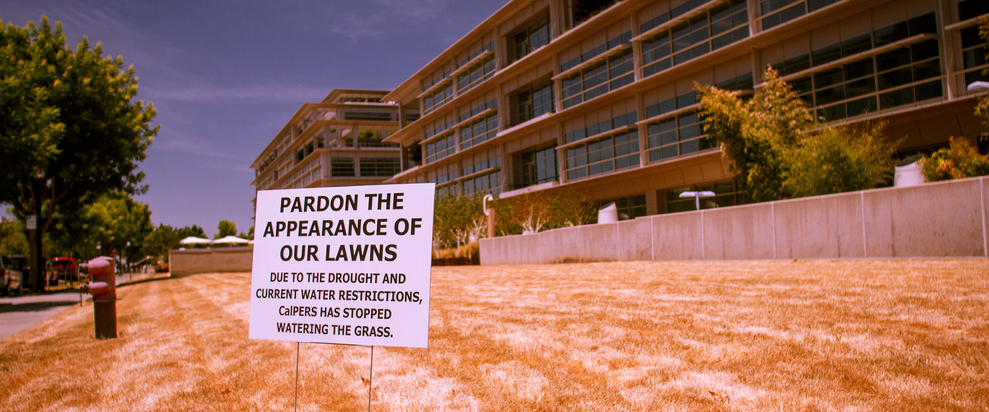 Water restriction sign on a dry lawn