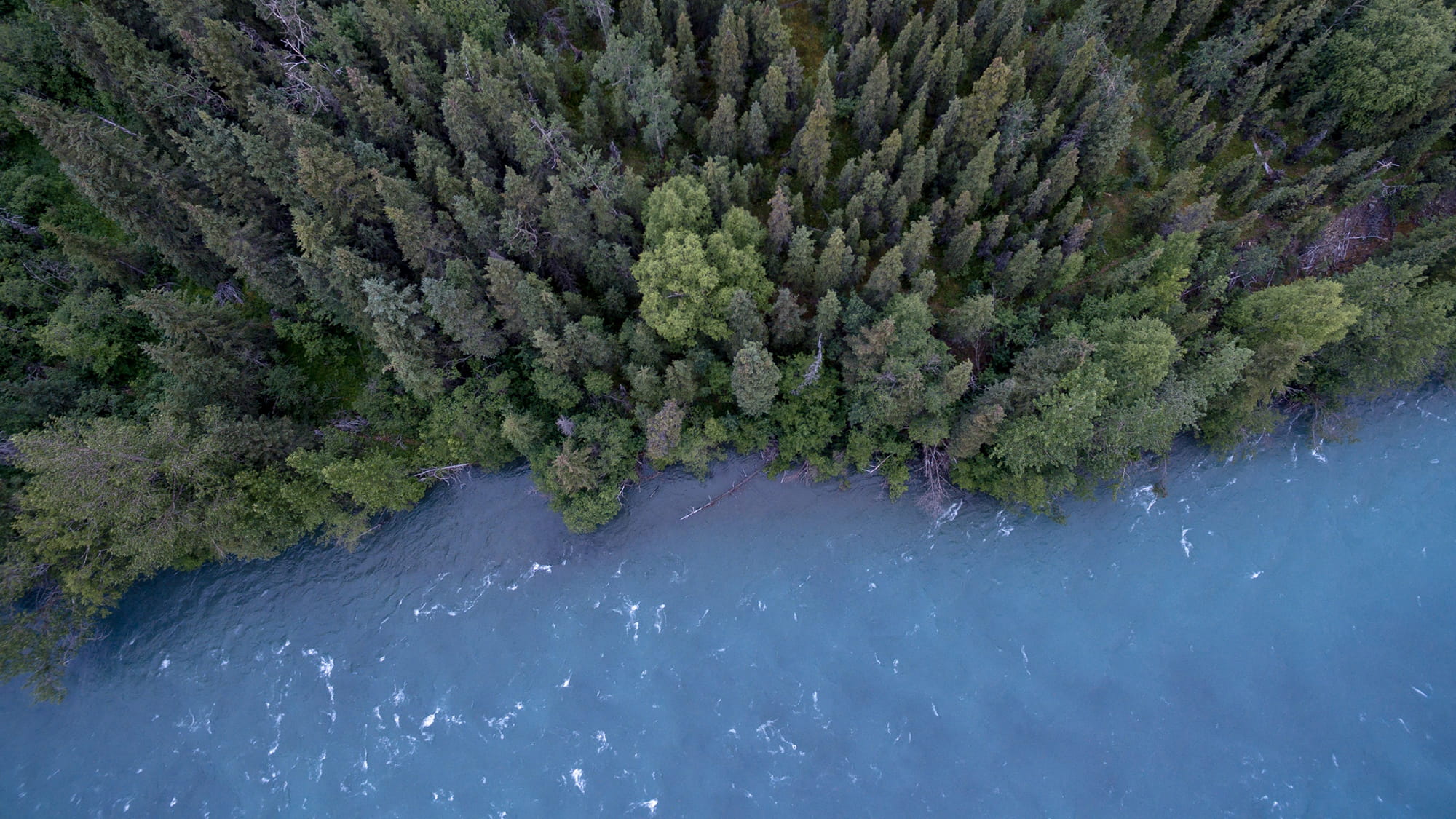 Aerial view of a river. Credit: John Salzarulo