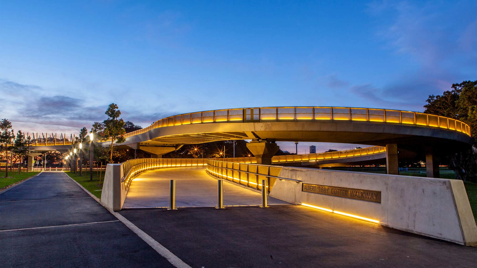 Night view of the bridge. Credit: Arup