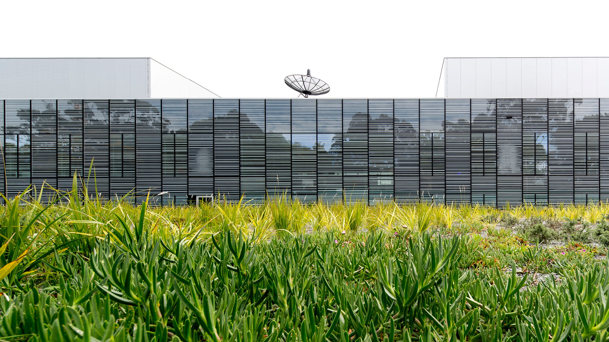 Australian Institute of Nanoscale Science and Technology