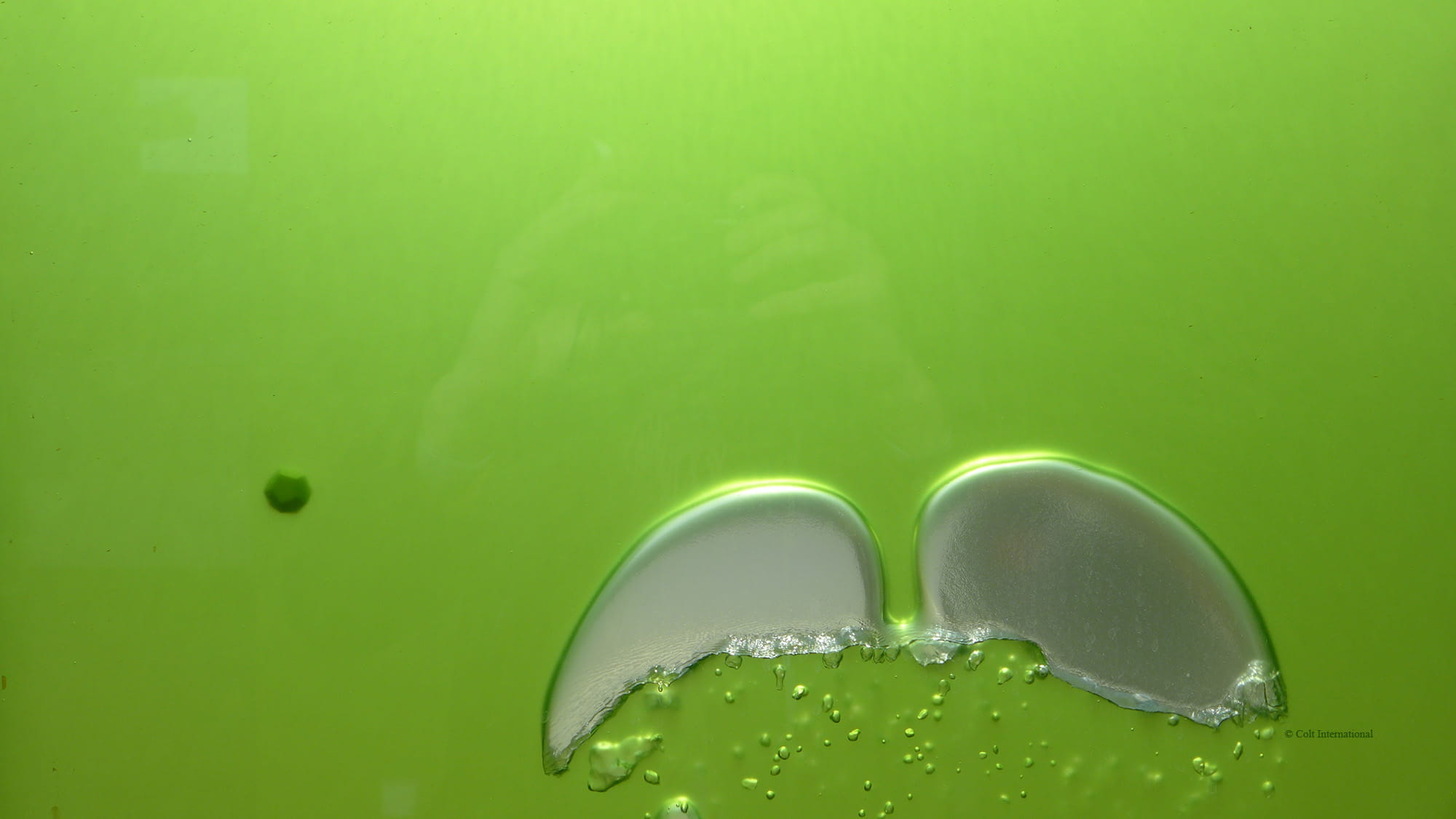 Microalgae are cultivated in the glass facade elements of the bioenergy facade.