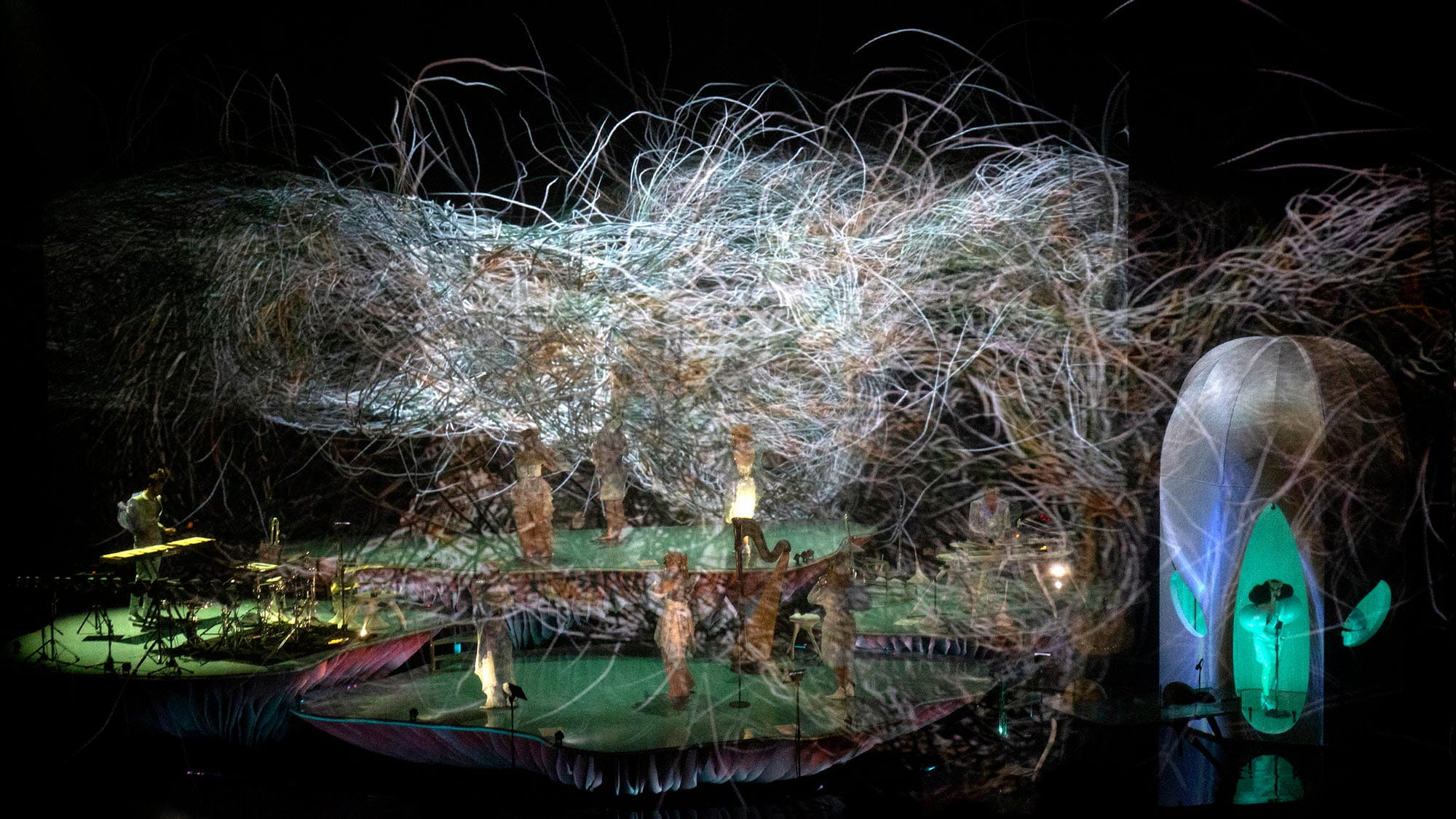 Bjork performing in reverberation chamber