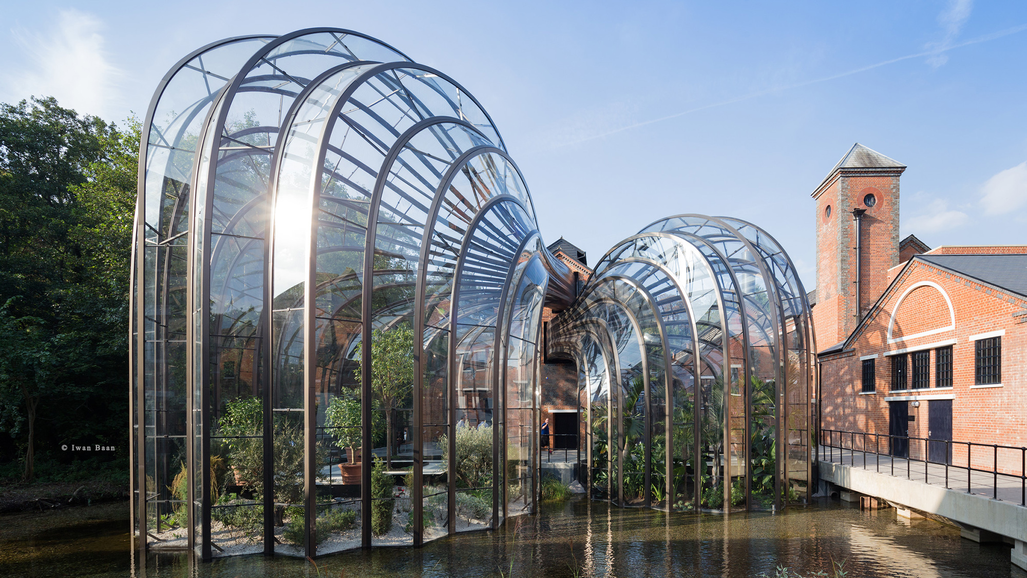 The two glasshouses that sit alongside each other home the botanicals used in the production of Bombay Sapphire gin