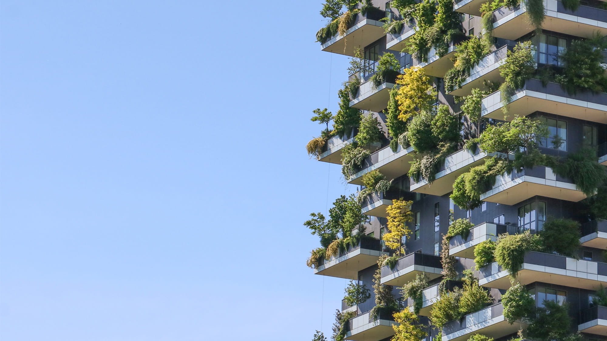 Bosco Verticale. Credit: Arup