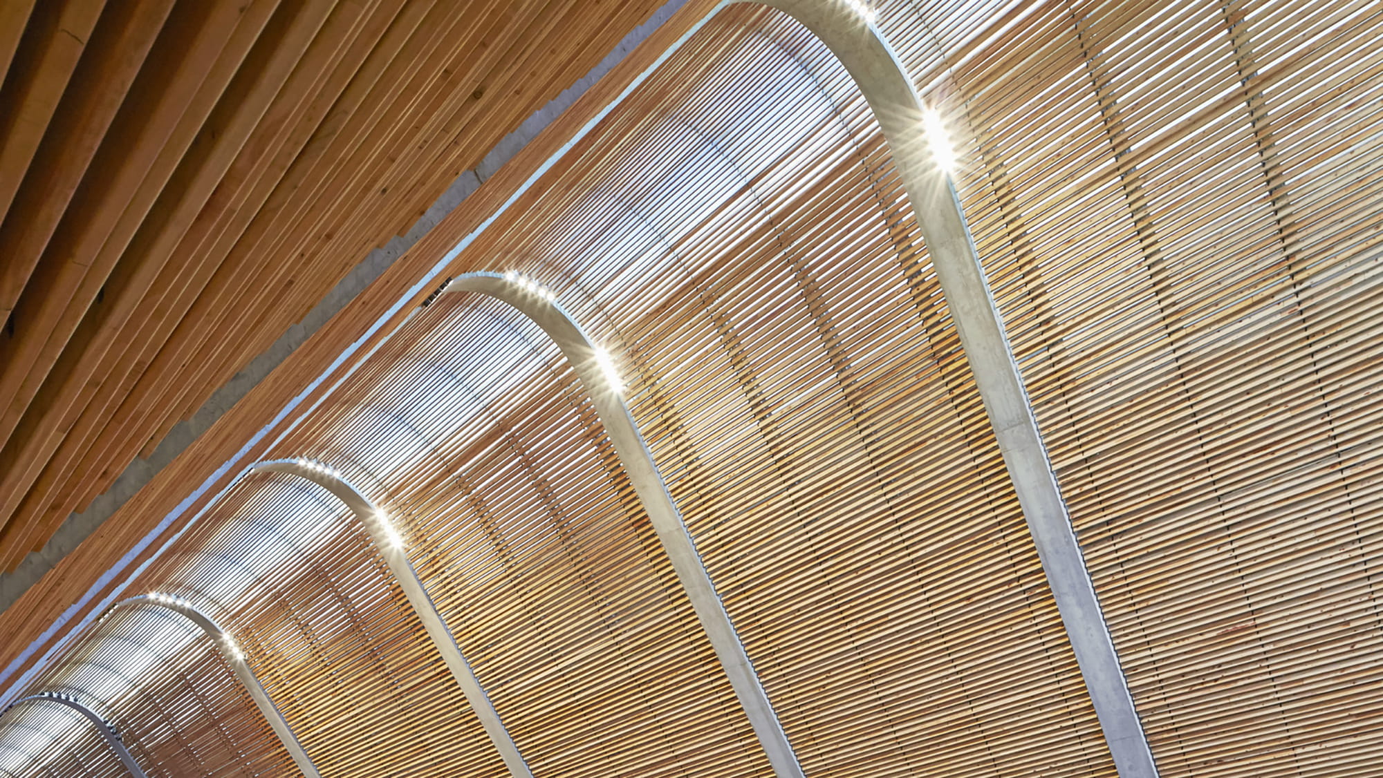 cathedral of the sacred heart kericho