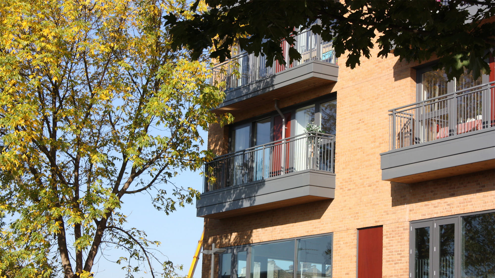 Dalston Regeneration.