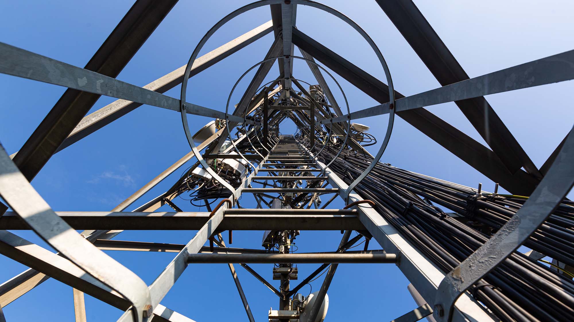 Tower. Source: Shutterstock