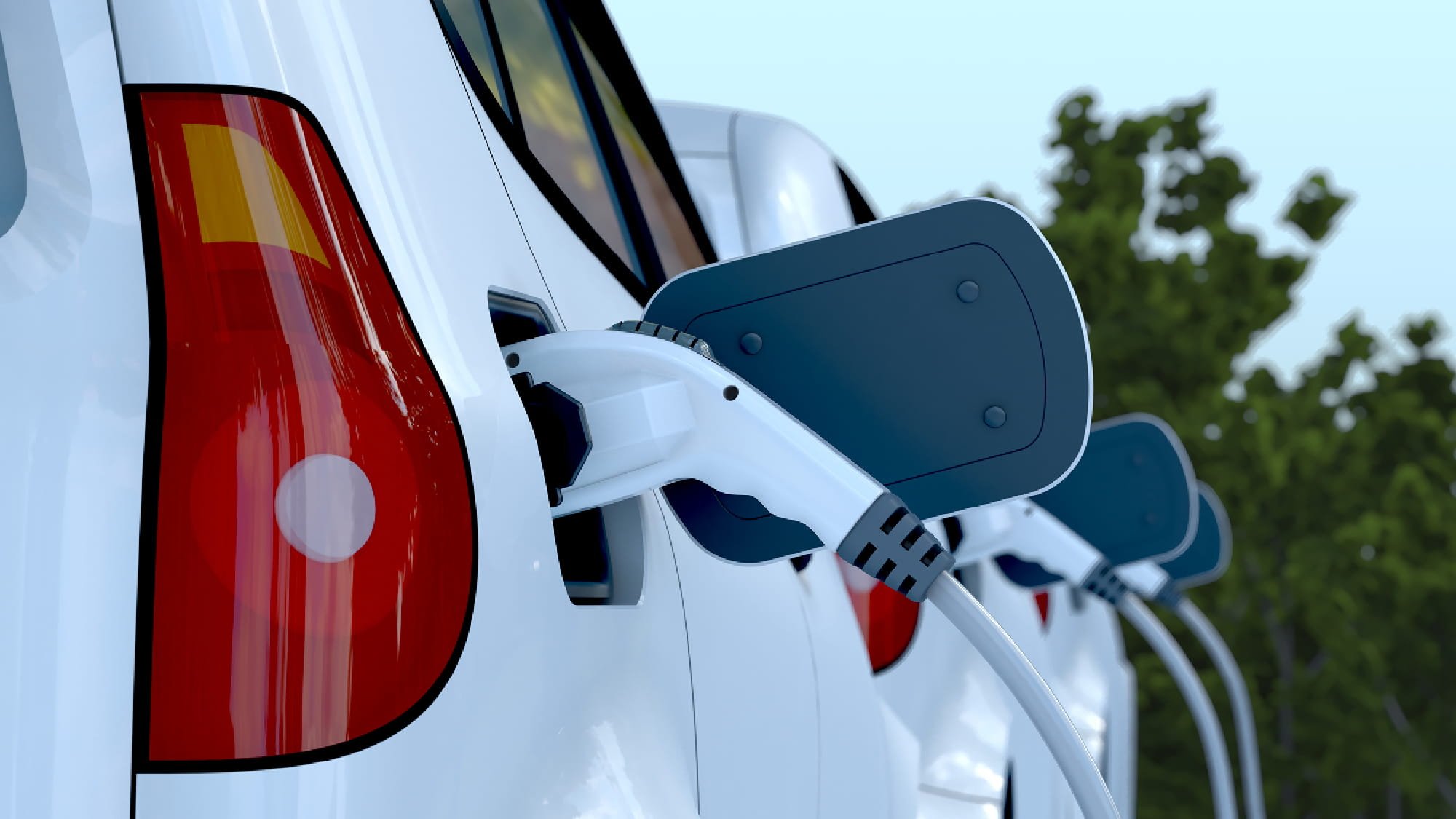 White electric cars lined up being recharged on a sunny day