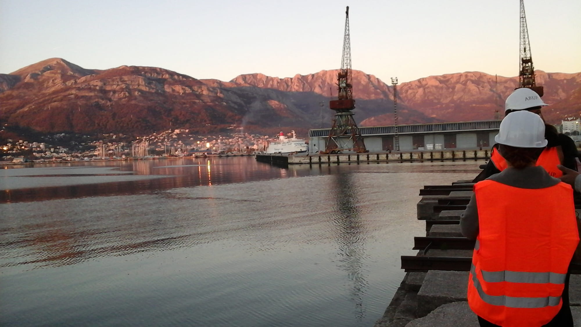 ES Due Diligence, Global Ports