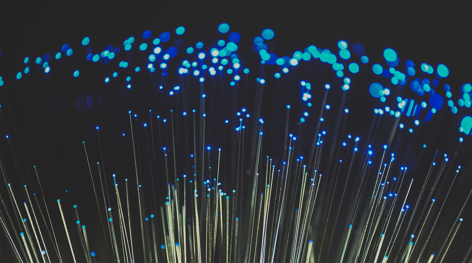 Eurofiber Due Diligence 