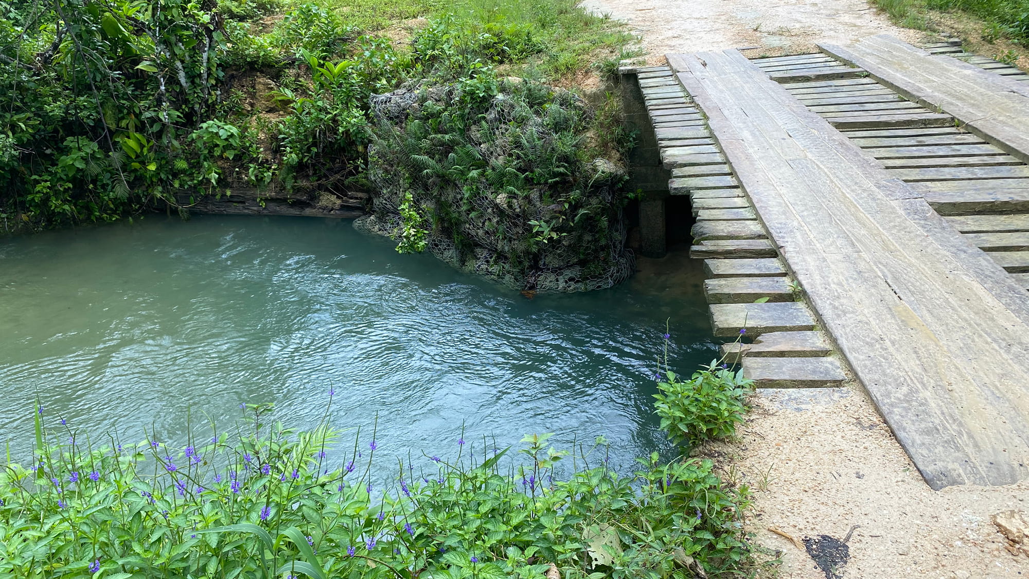 a close up view of a river running under a wooden bridge with green fiolage on the banks