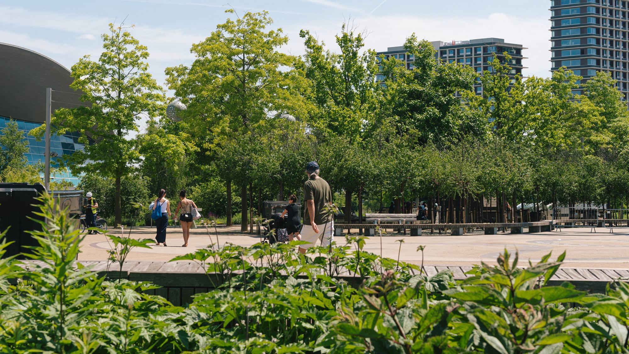Cyclist in olympic park