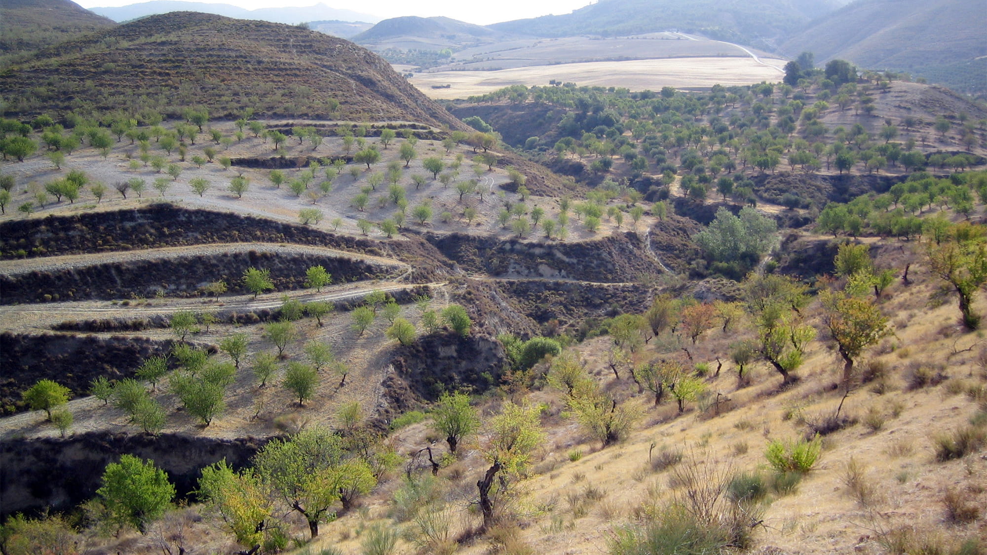 Preserve Macairena Masterplan