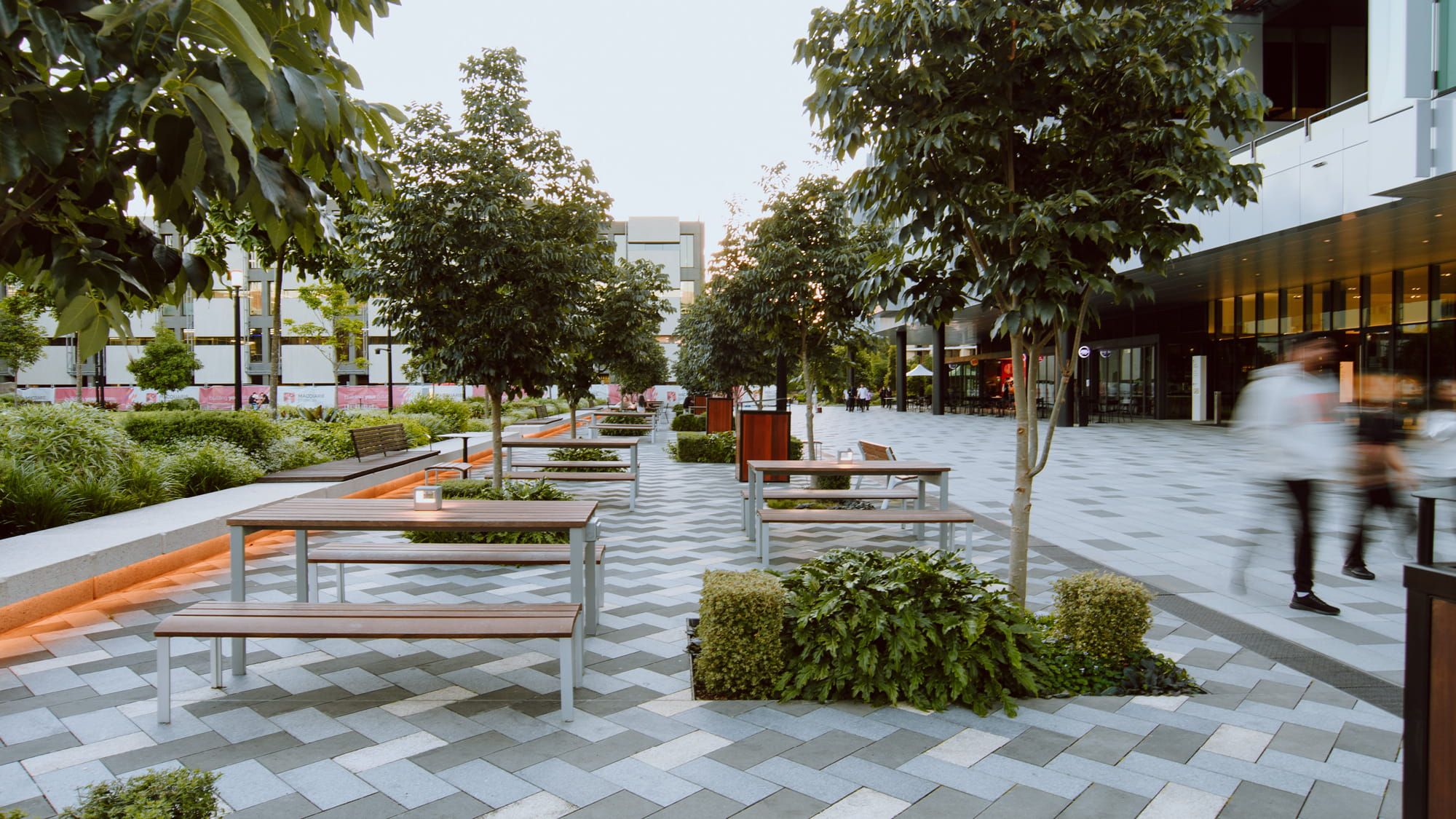 Macquarie University Central Courtyard Precinct, Sydney