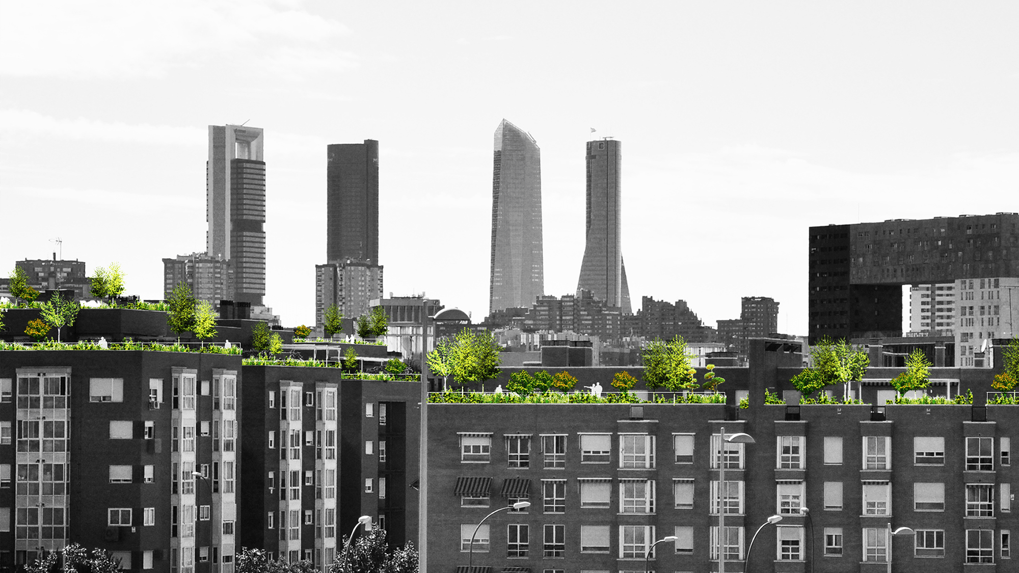 Madrid+Natural