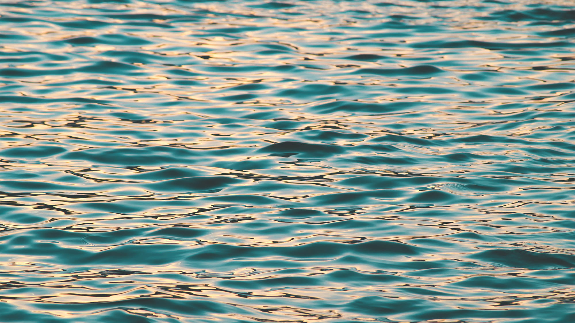 Managing water use in scare environments