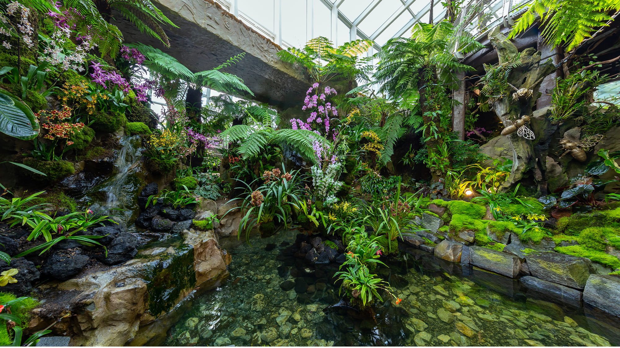 The Singapore Botanic Gardens with National Orchid Garden and Tropical Montane Orchidetum. Colourful orchids and montane forest with waterfalls are thriving. 