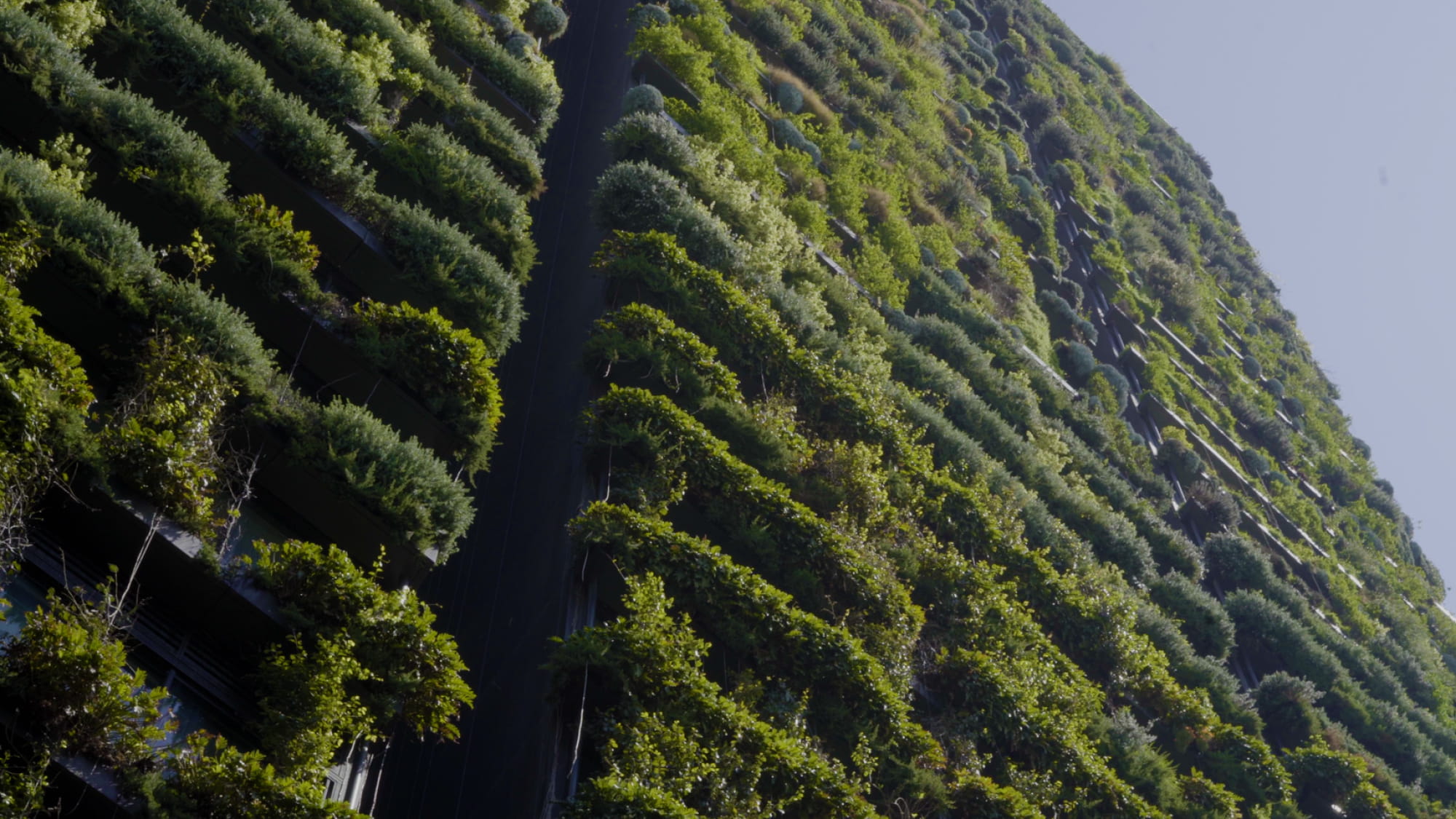 One Central Park green wall