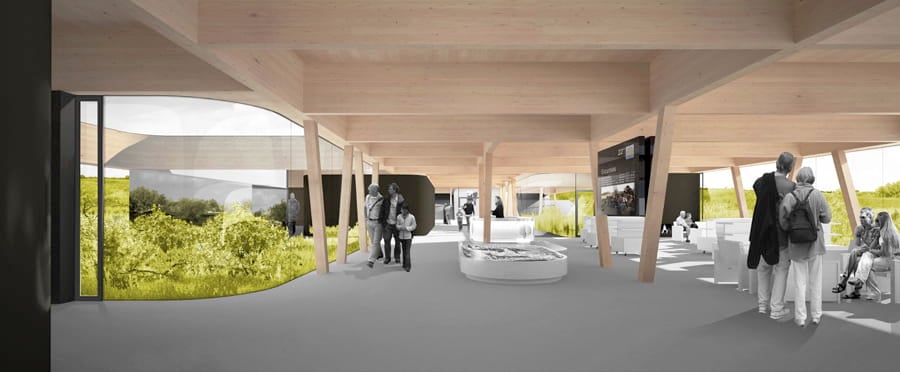 Wetland vegetation is allowed into the building's interior.