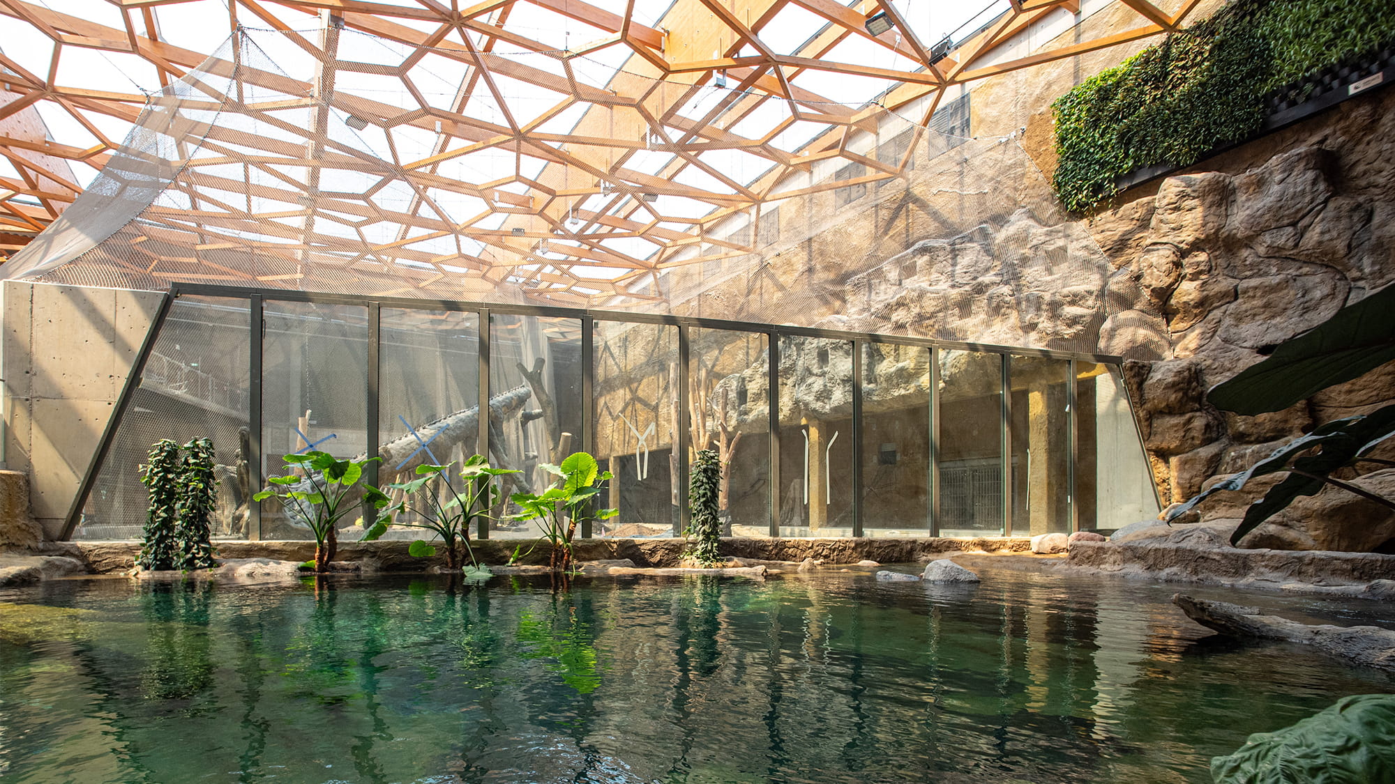 Orientarium dach