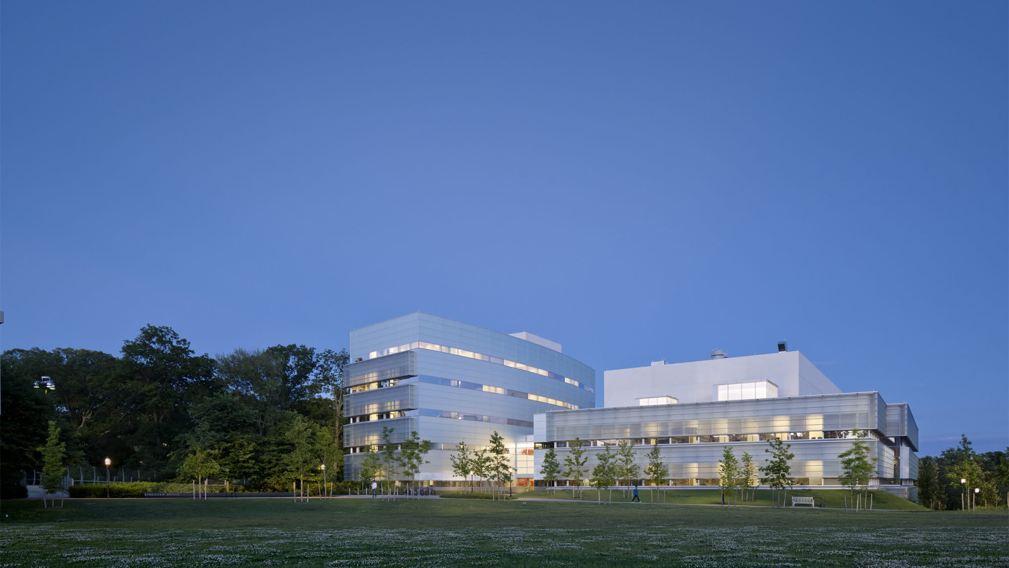  Princeton University Neuroscience and Psychology Complex ? Michael Moran OTTO