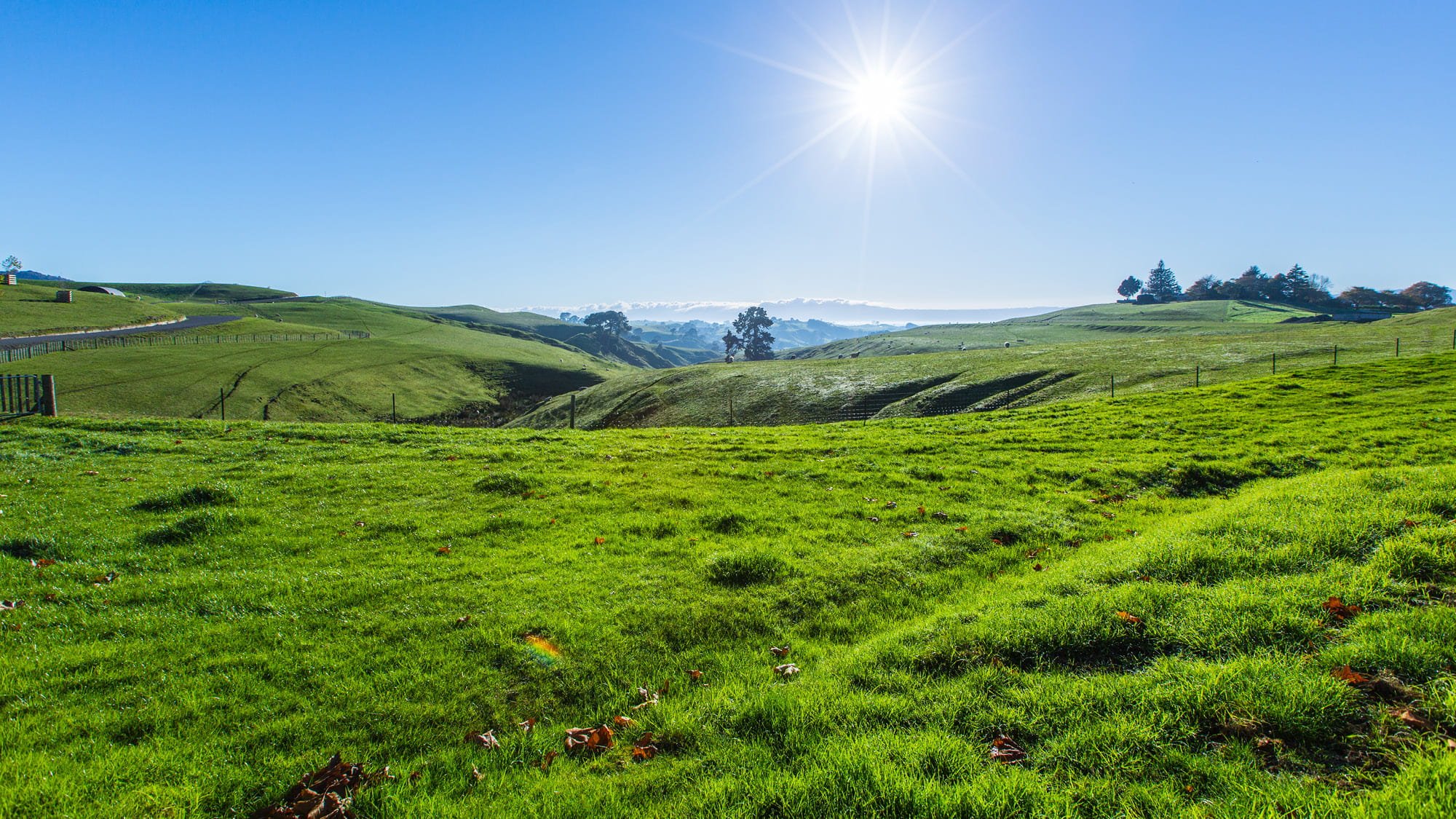 Green grassy hills in the country side