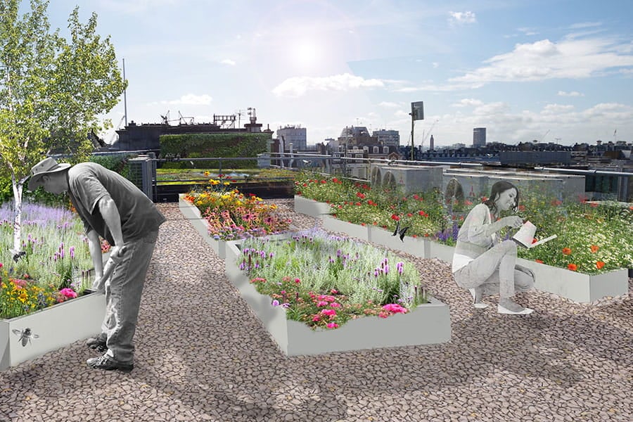 Visualisation of a green roof. Benefits will include enhanced biodiversity, improved air quality and a more visually attractive environment.