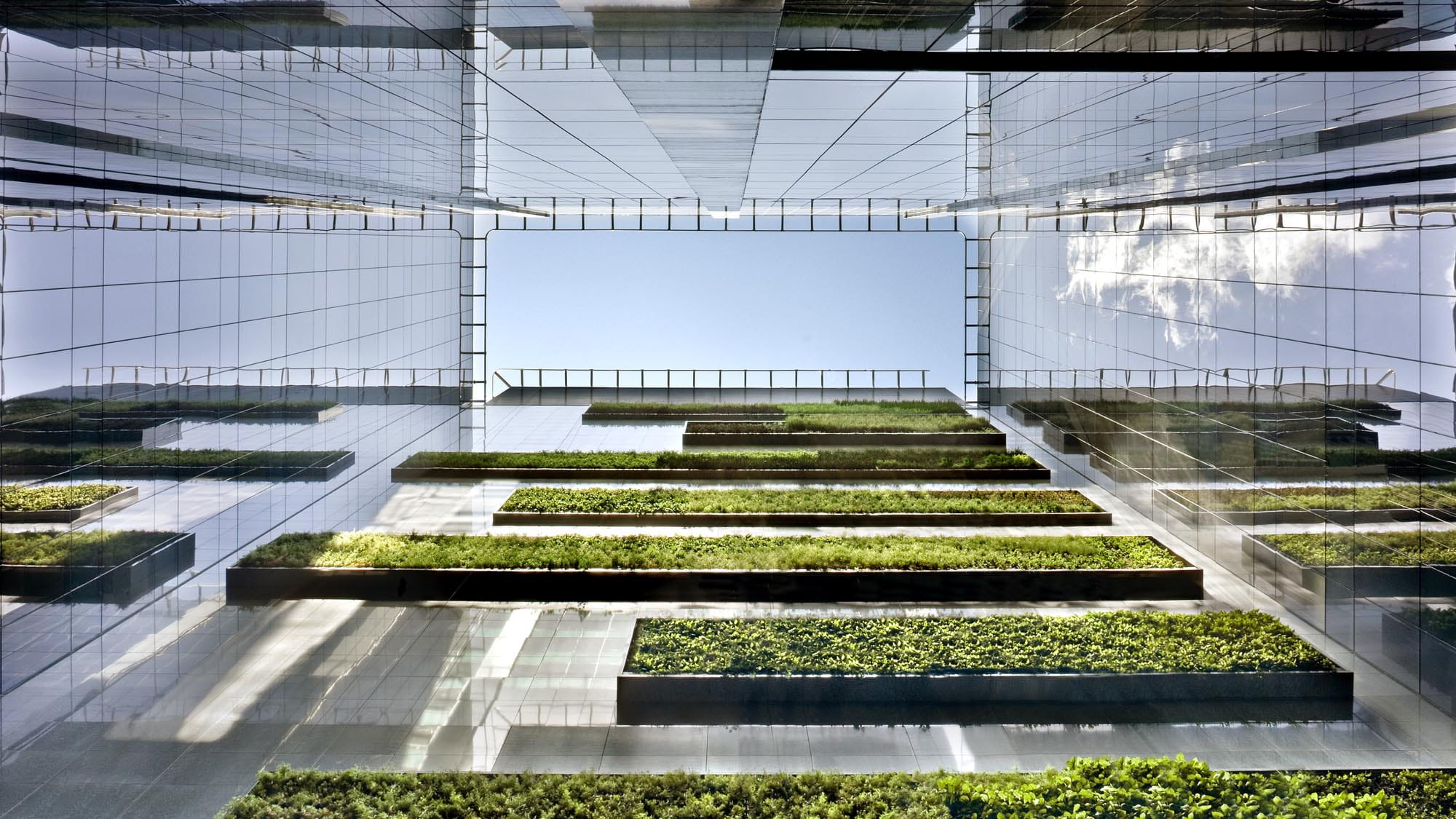 Green Wall at Green Towers