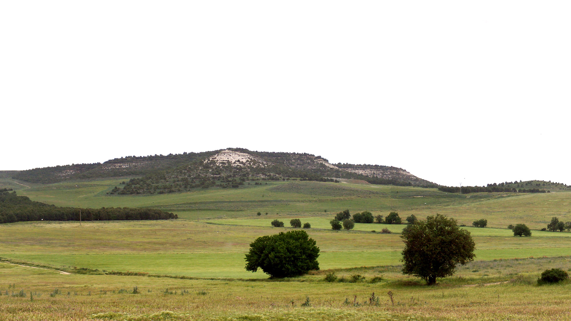 The Valladolid project aims to create an ecological city of around 13,000 homes. 
