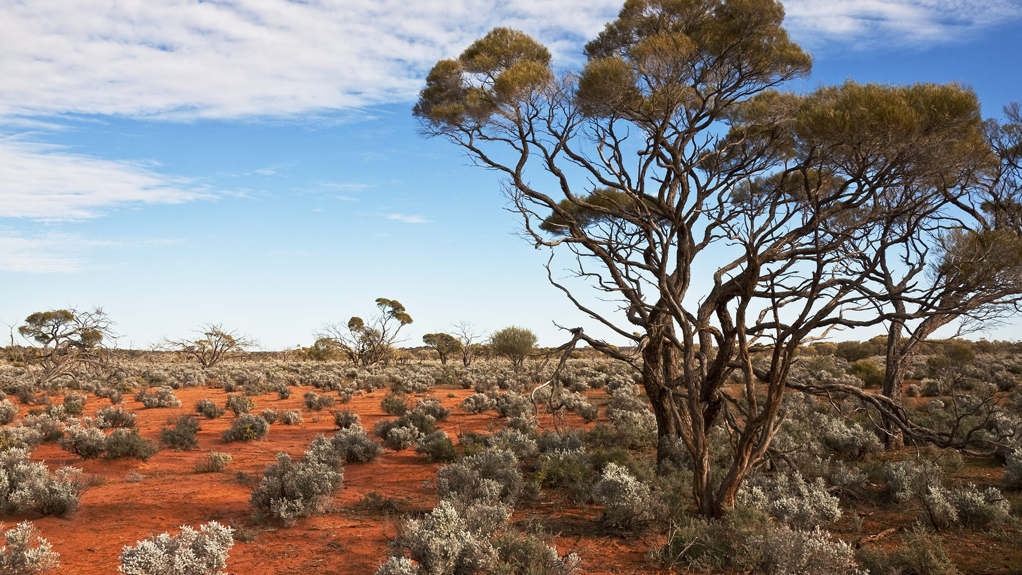 Northern Territory Landscape 