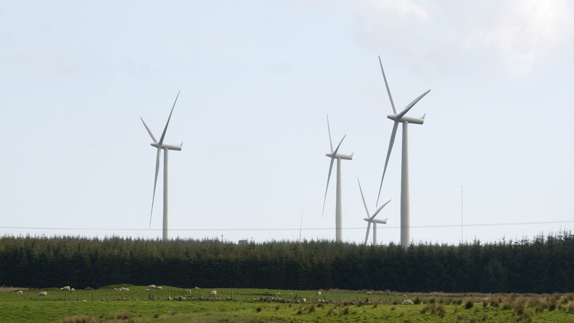 Site investigation and recommendation of wind farms. Image: Paul White Photography