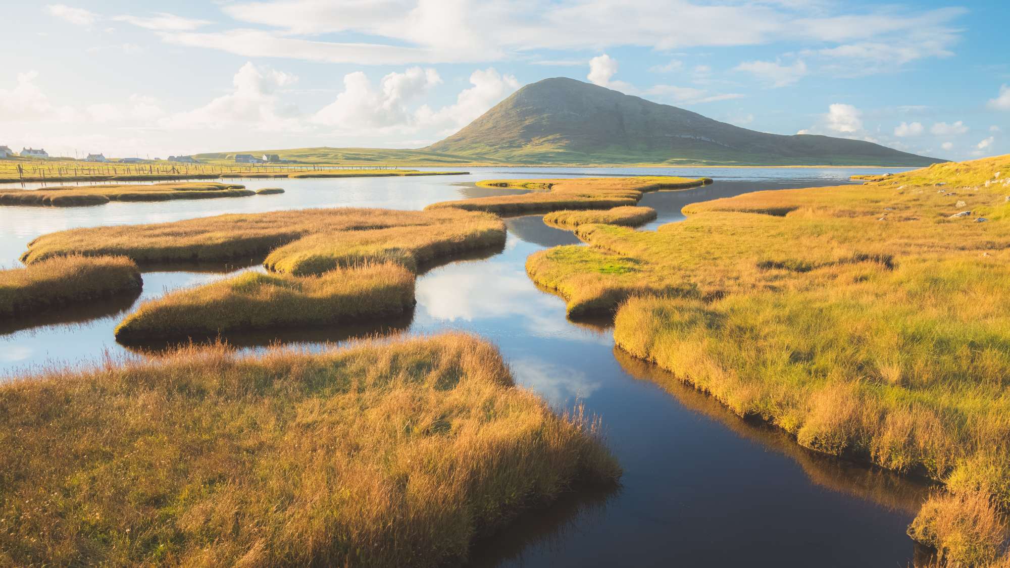 Wetland in Yorkshire with a mountain in the background