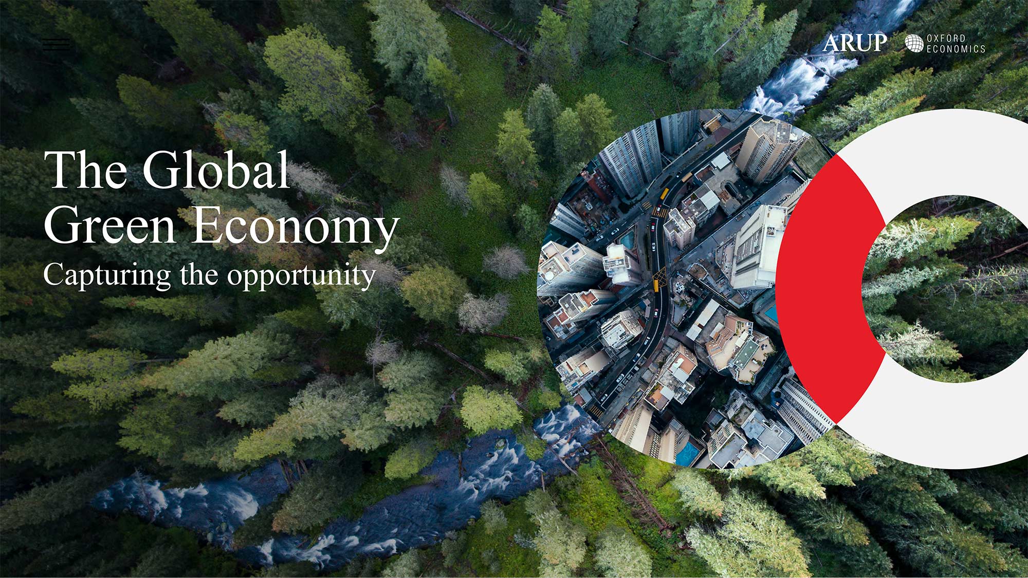 The global green economy