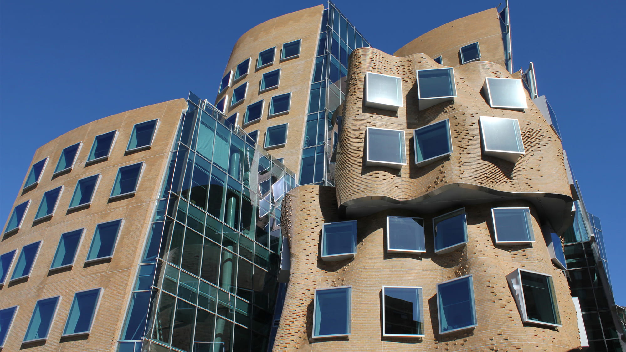 Dr Chau Chak Wing building