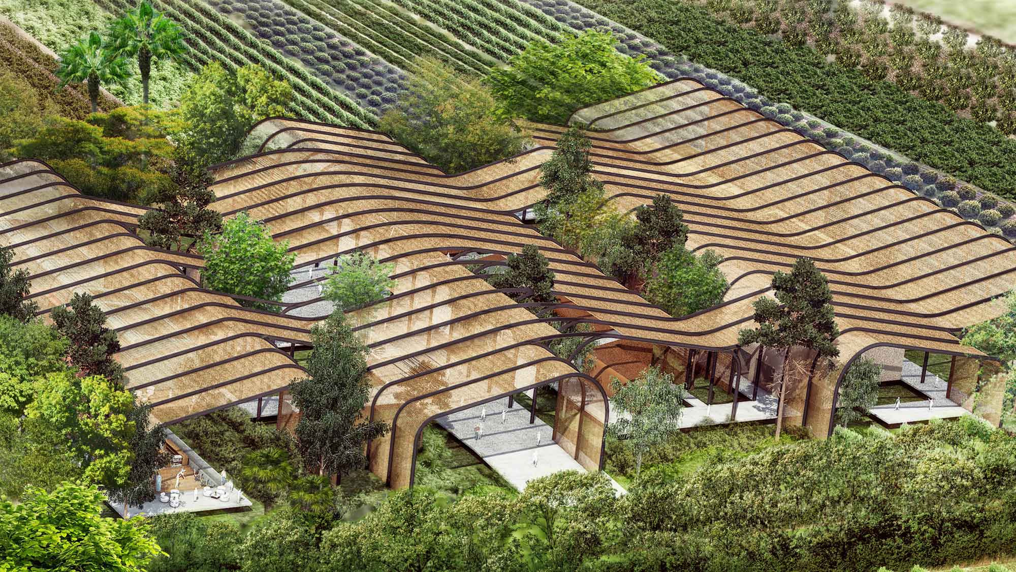 International Centre for Tropical Agriculture