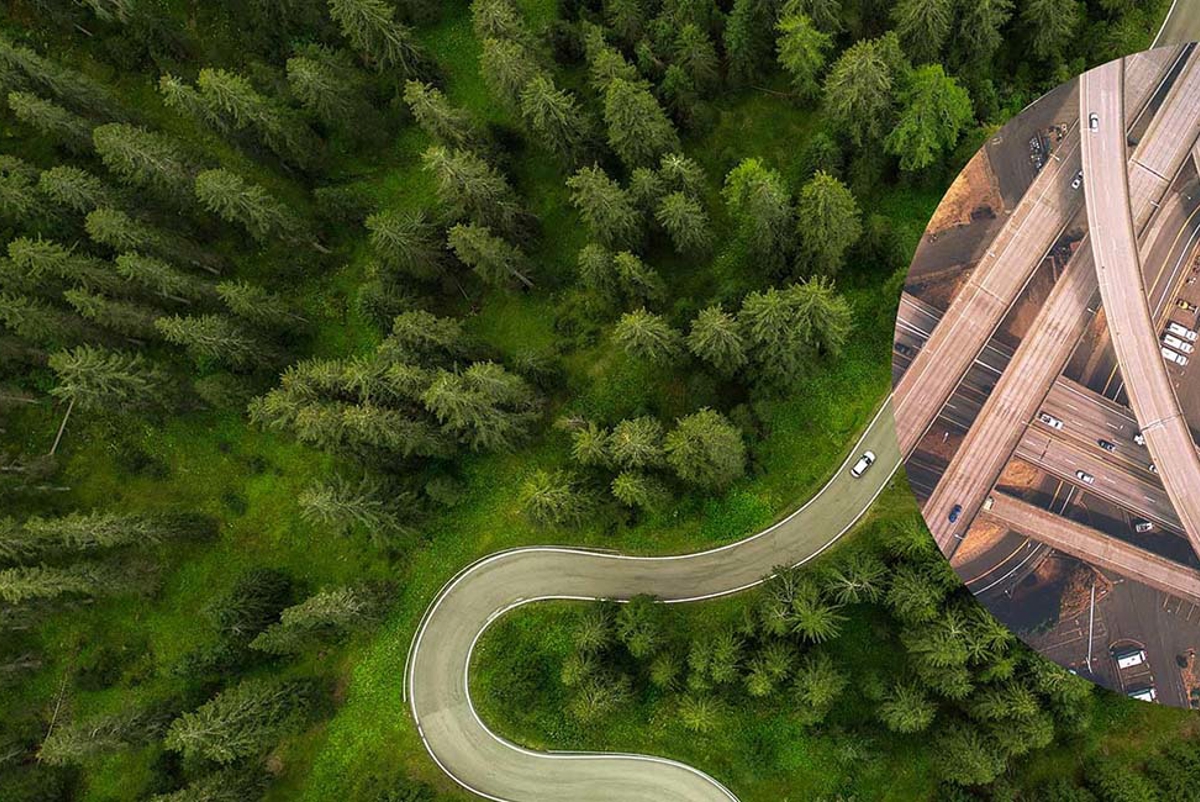 Aerial view of. a path through a wood
