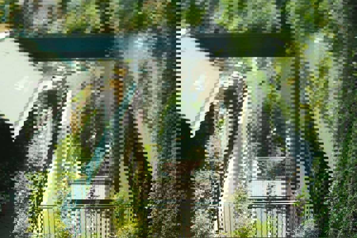 Urban green space