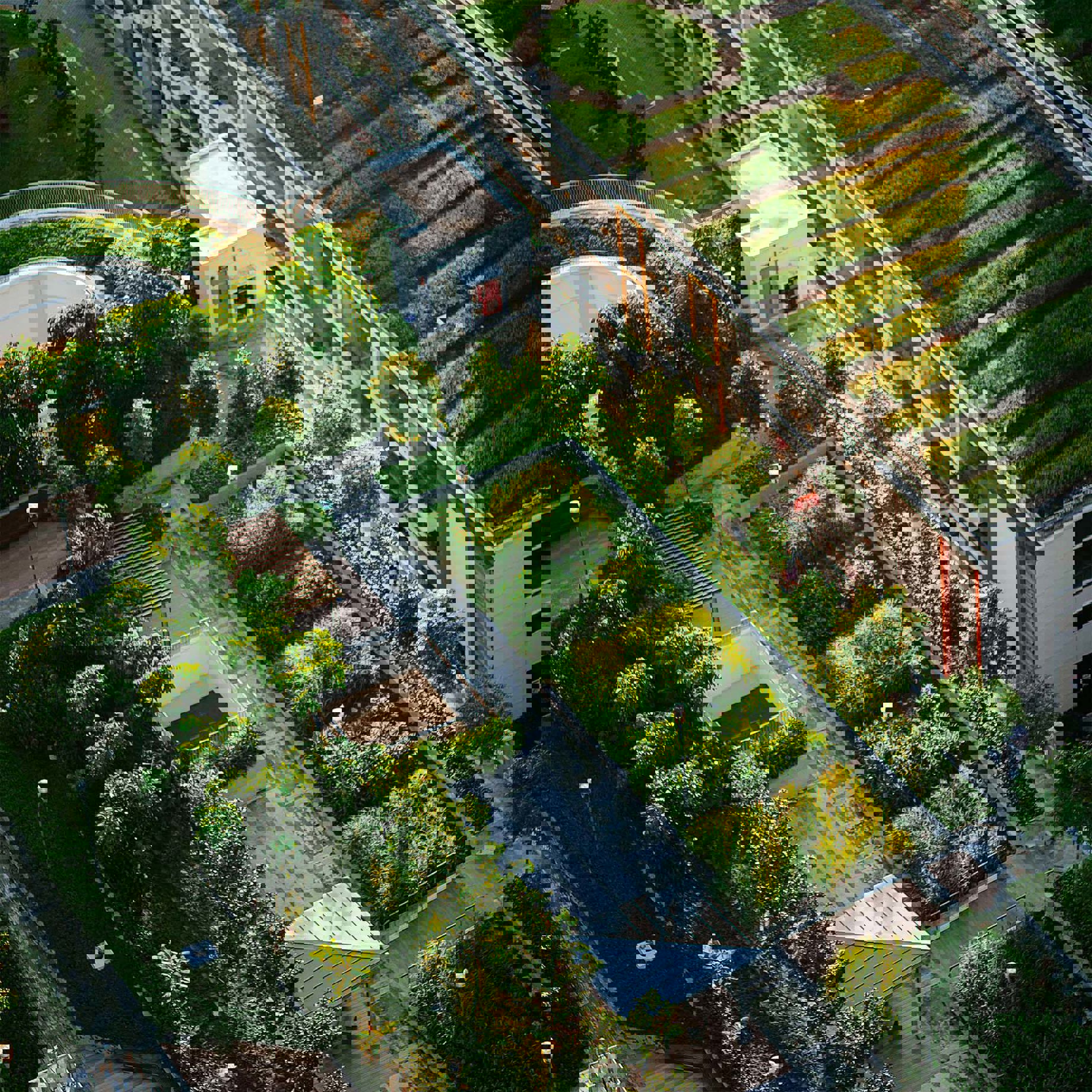 Interpretation of an urban farm