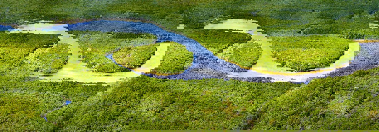 Can nature prevent flooding?